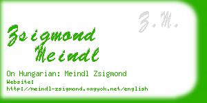 zsigmond meindl business card